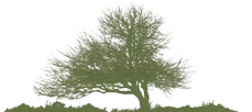 NoWindTurbines Logo: click for home page